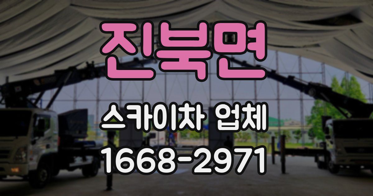 진북면 스카이차 업체