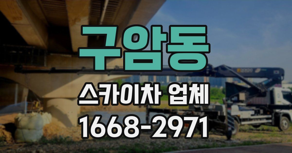 구암동 스카이차 업체