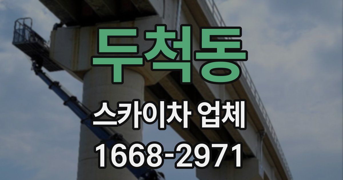 두척동 스카이차 업체