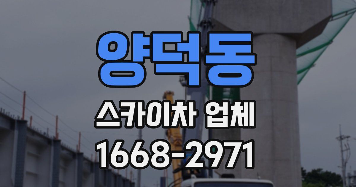 양덕동 스카이차 업체