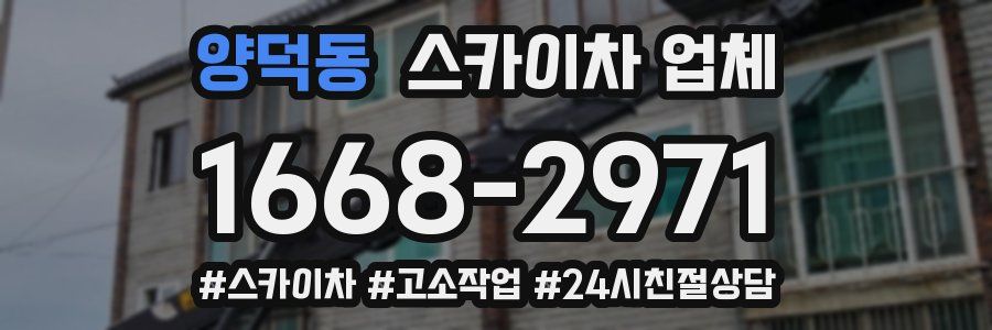 양덕동 스카이차 업체