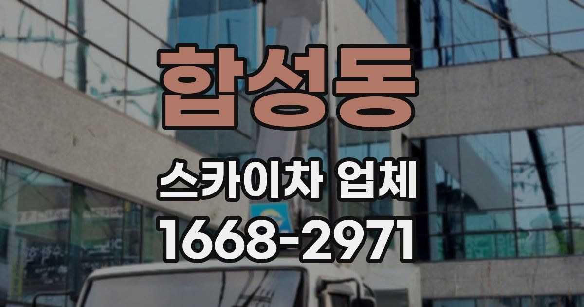 합성동 스카이차 업체