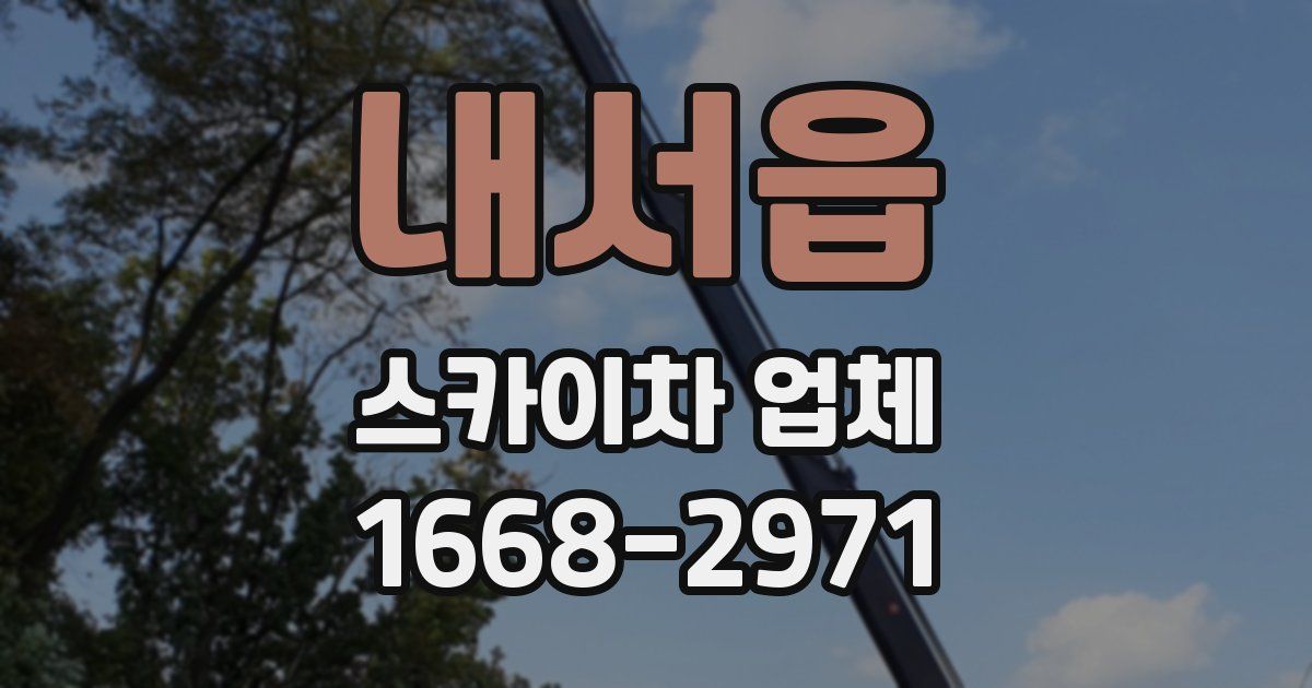 내서읍 스카이차 업체