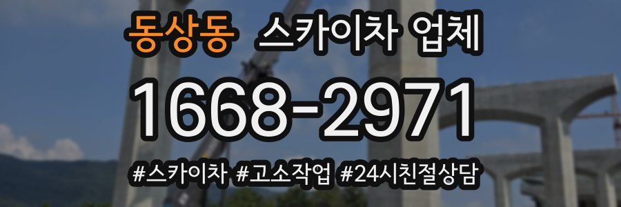 동상동 스카이차 업체