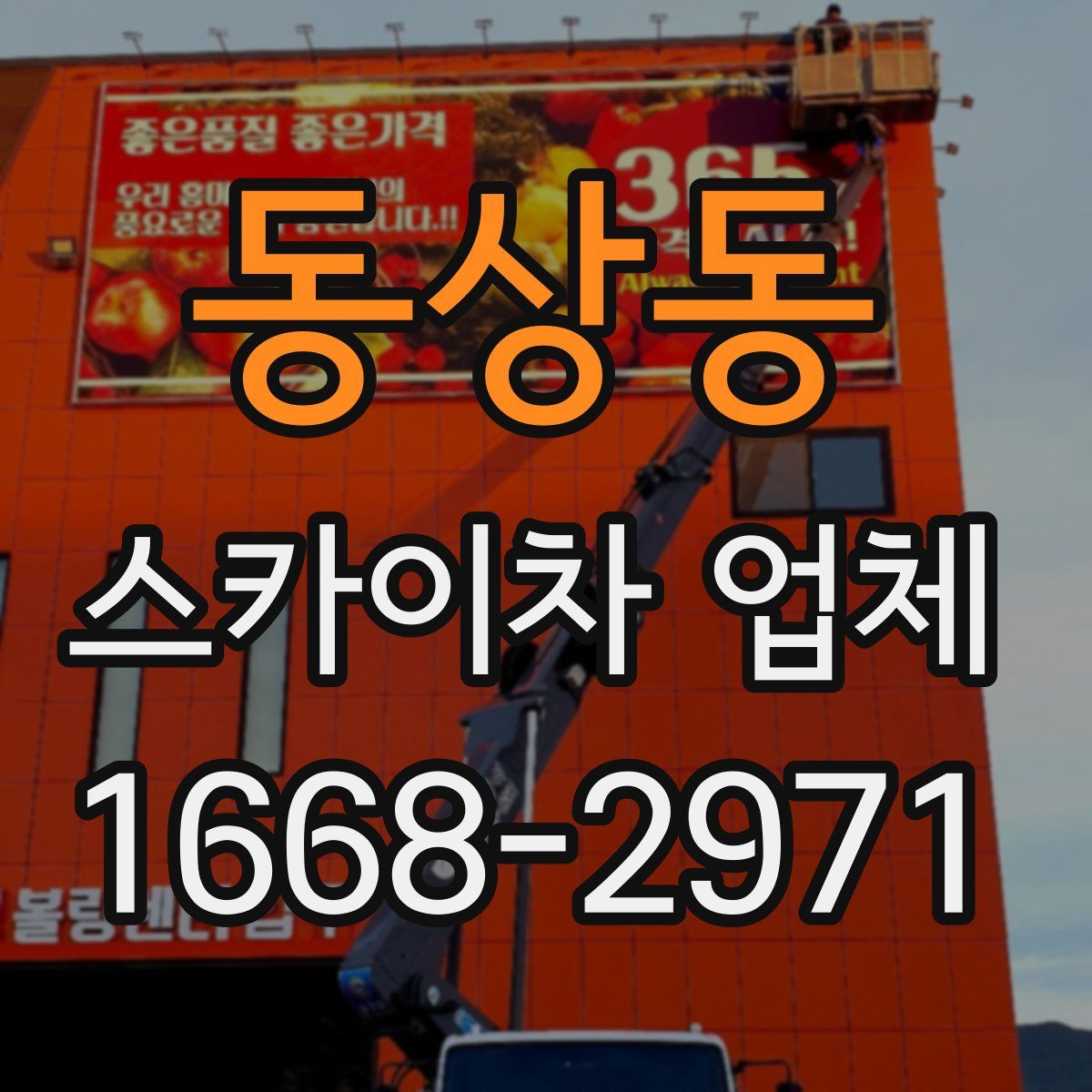 동상동 스카이차 업체