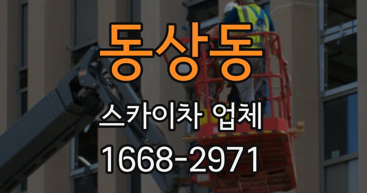 동상동 스카이차 업체