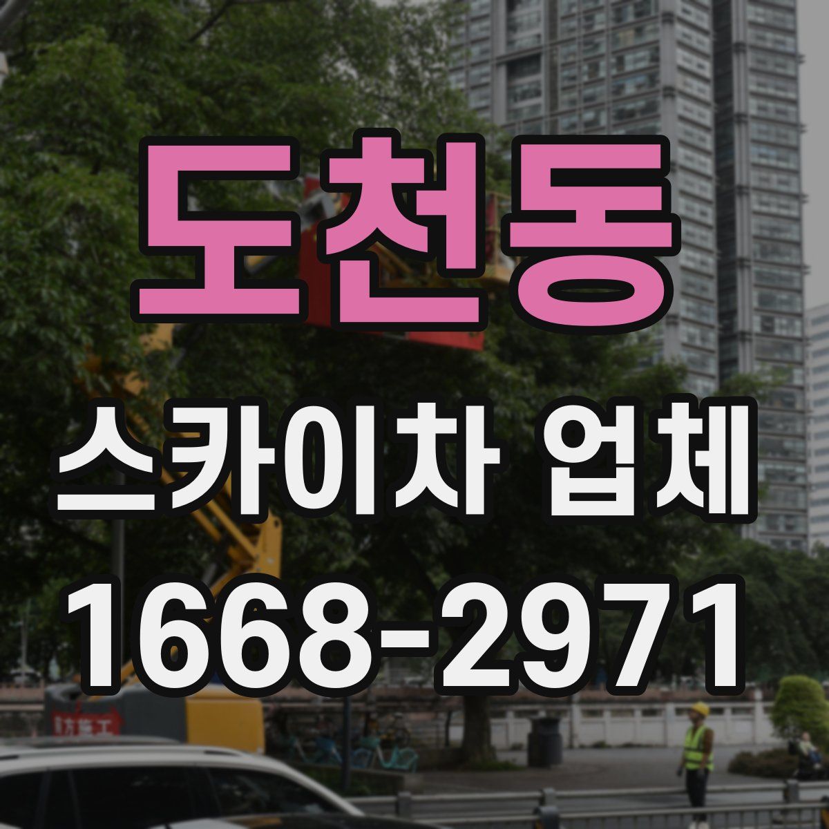 도천동 스카이차 업체
