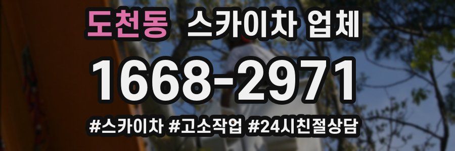 도천동 스카이차 업체