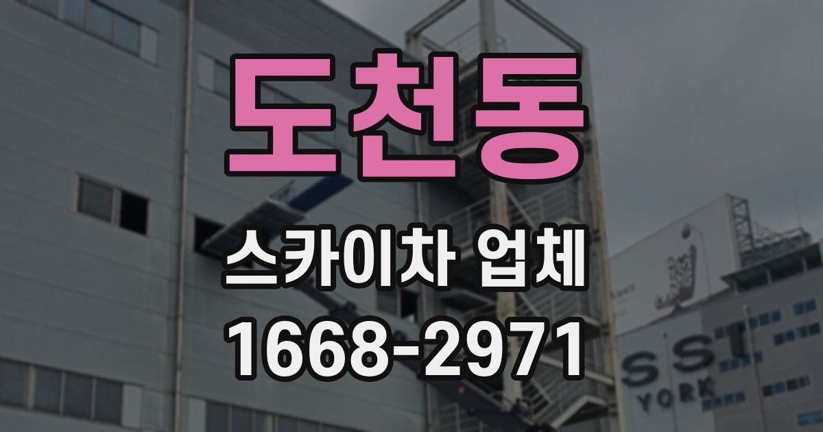 도천동 스카이차 업체