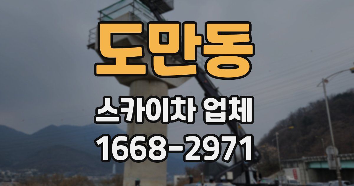 도만동 스카이차 업체