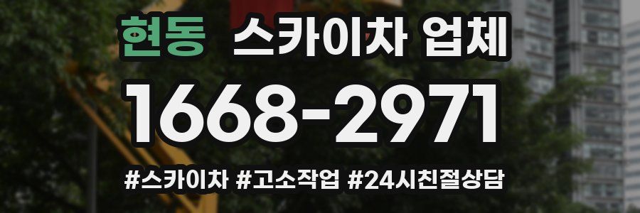 현동 스카이차 업체