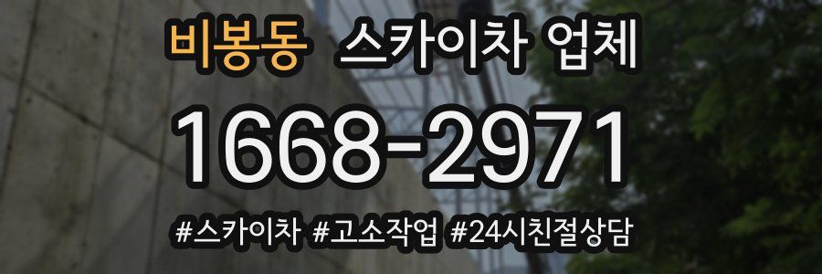 비봉동 스카이차 업체