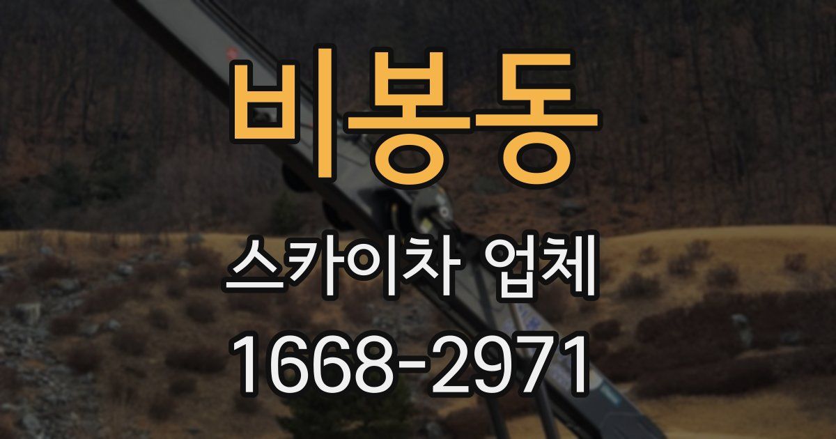 비봉동 스카이차 업체