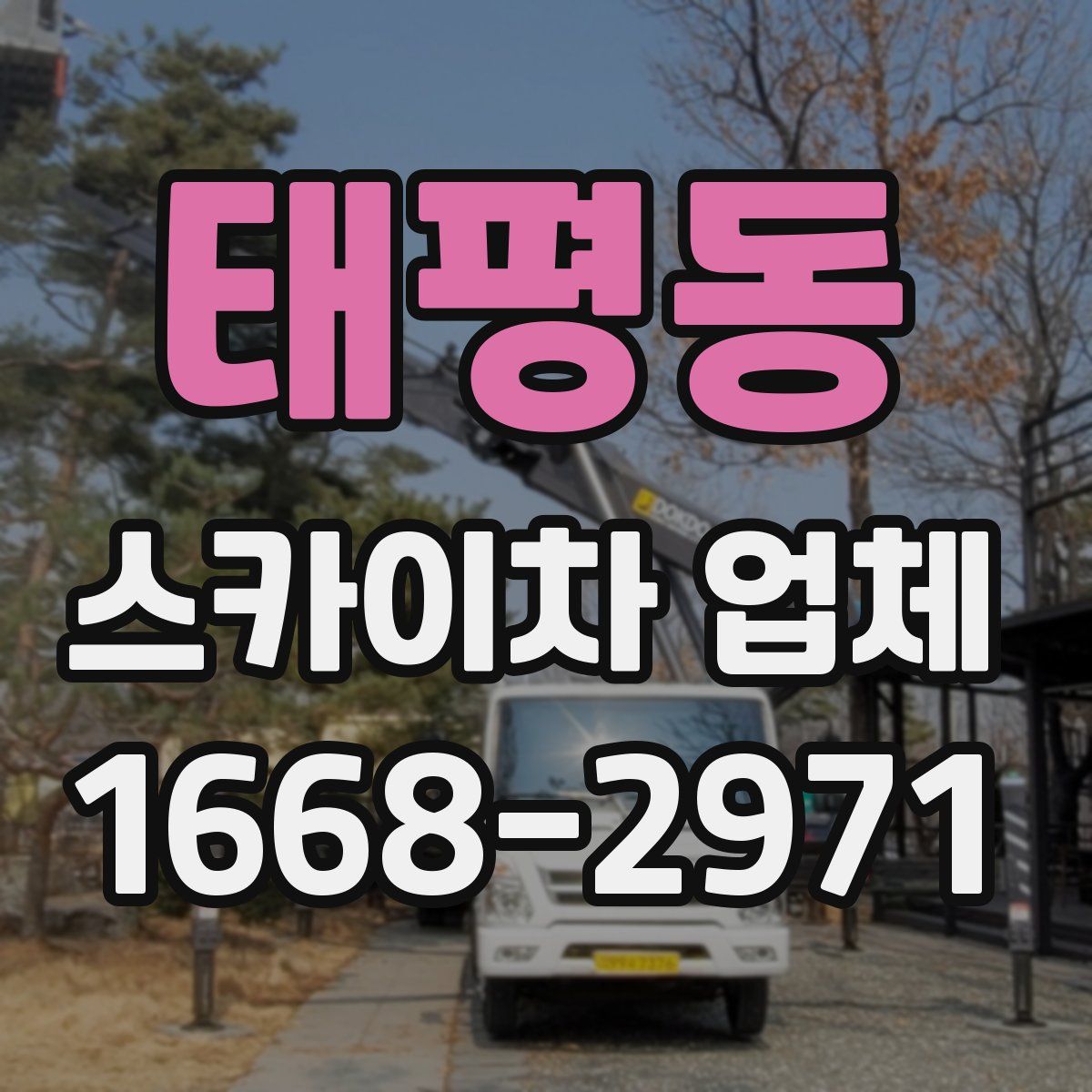 태평동 스카이차 업체