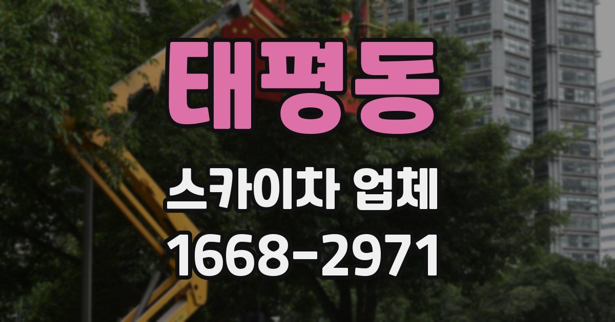 태평동 스카이차 업체