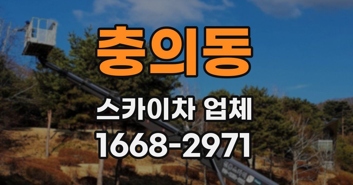 충의동 스카이차 업체