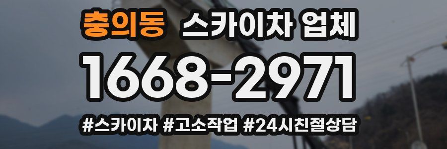충의동 스카이차 업체