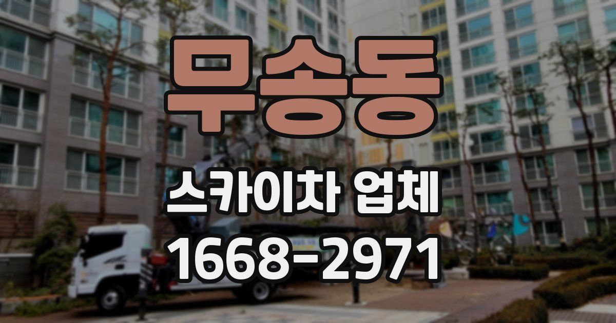무송동 스카이차 업체