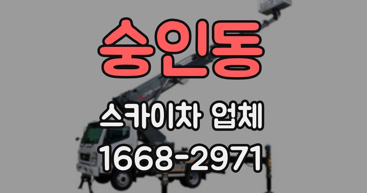 숭인동 스카이차 업체