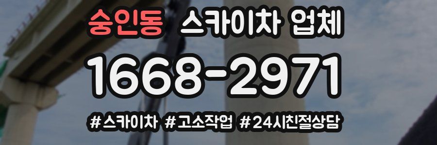 숭인동 스카이차 업체