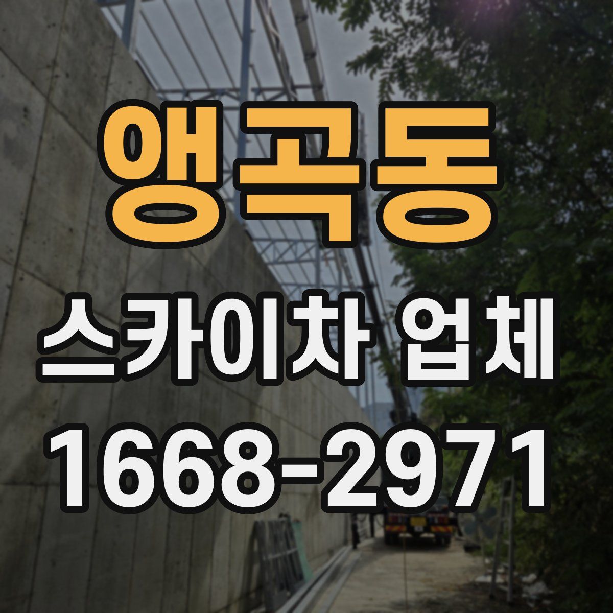 앵곡동 스카이차 업체