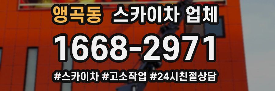 앵곡동 스카이차 업체