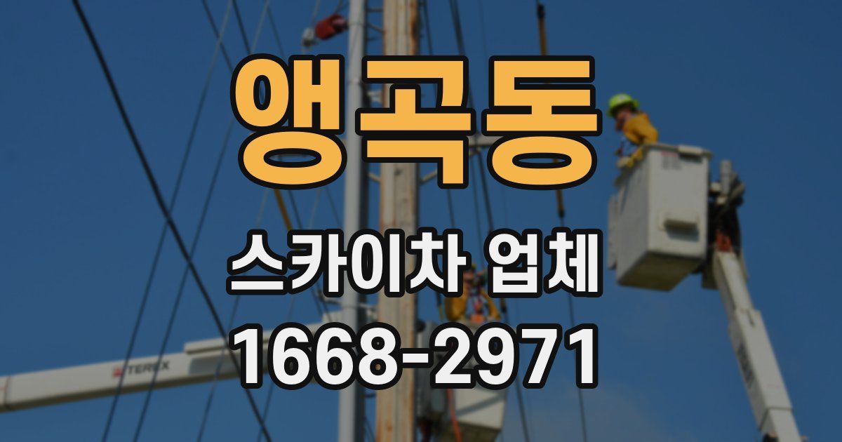 앵곡동 스카이차 업체
