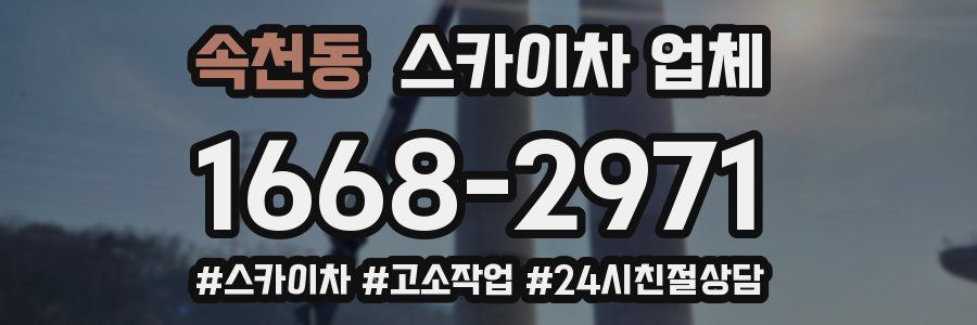 속천동 스카이차 업체