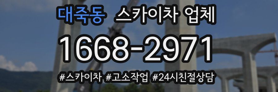 대죽동 스카이차 업체