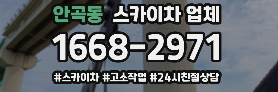 안곡동 스카이차 업체