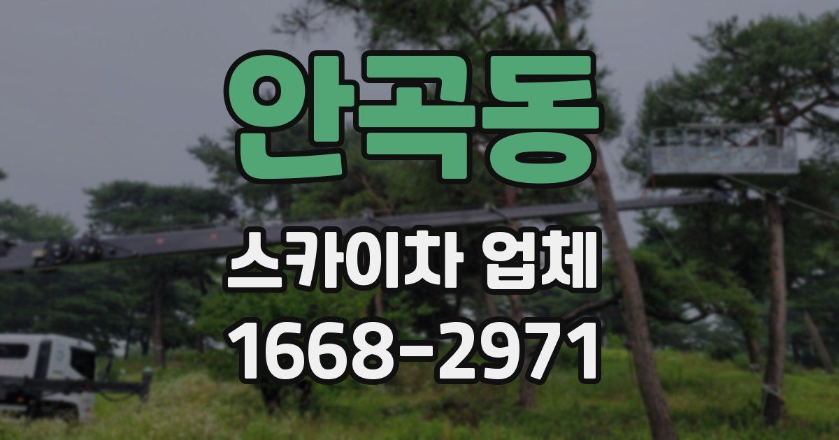 안곡동 스카이차 업체
