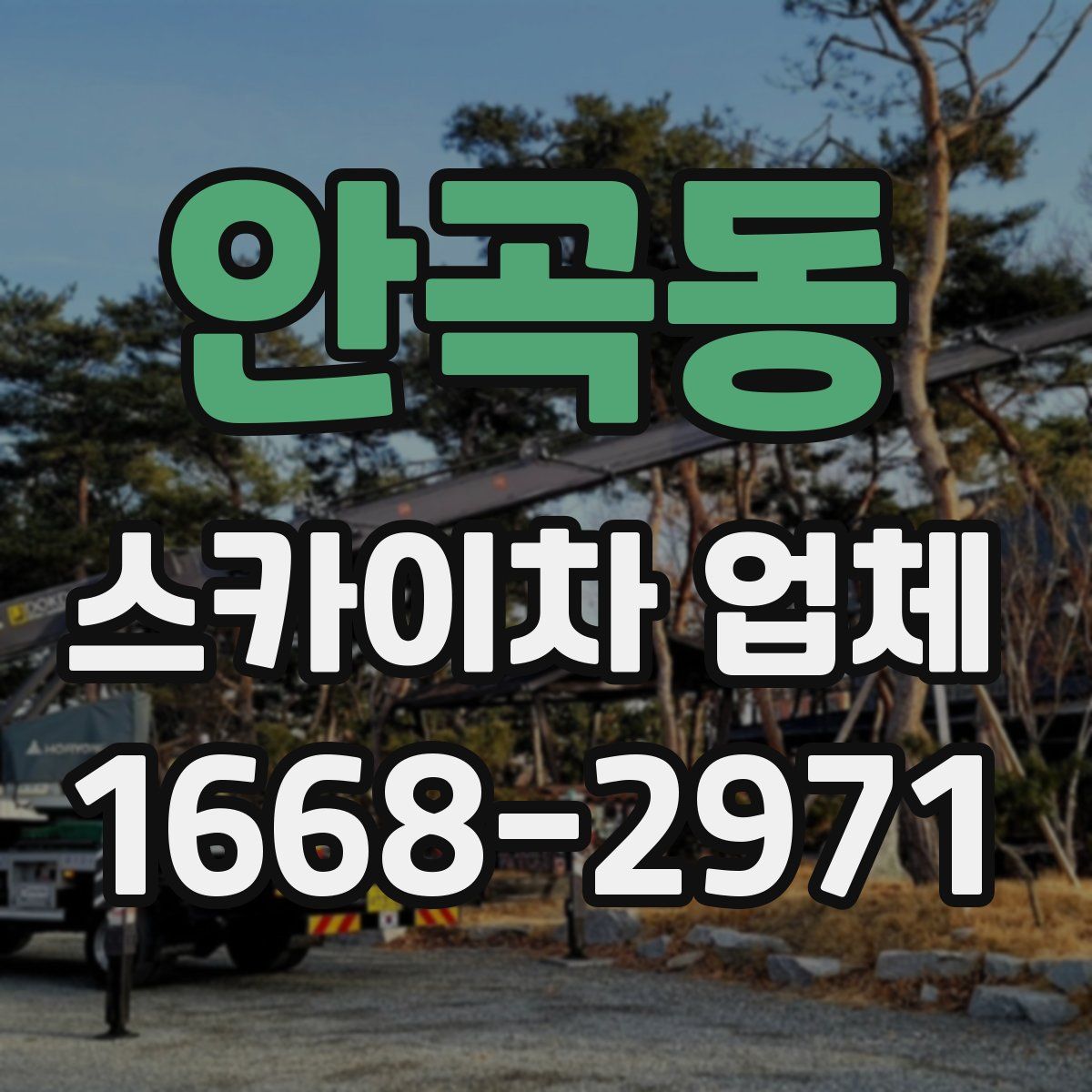 안곡동 스카이차 업체