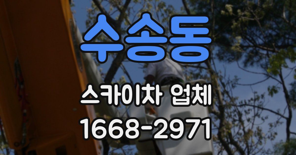 수송동 스카이차 업체