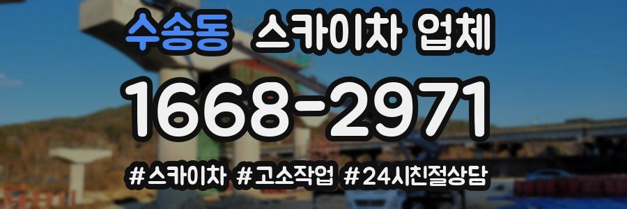 수송동 스카이차 업체