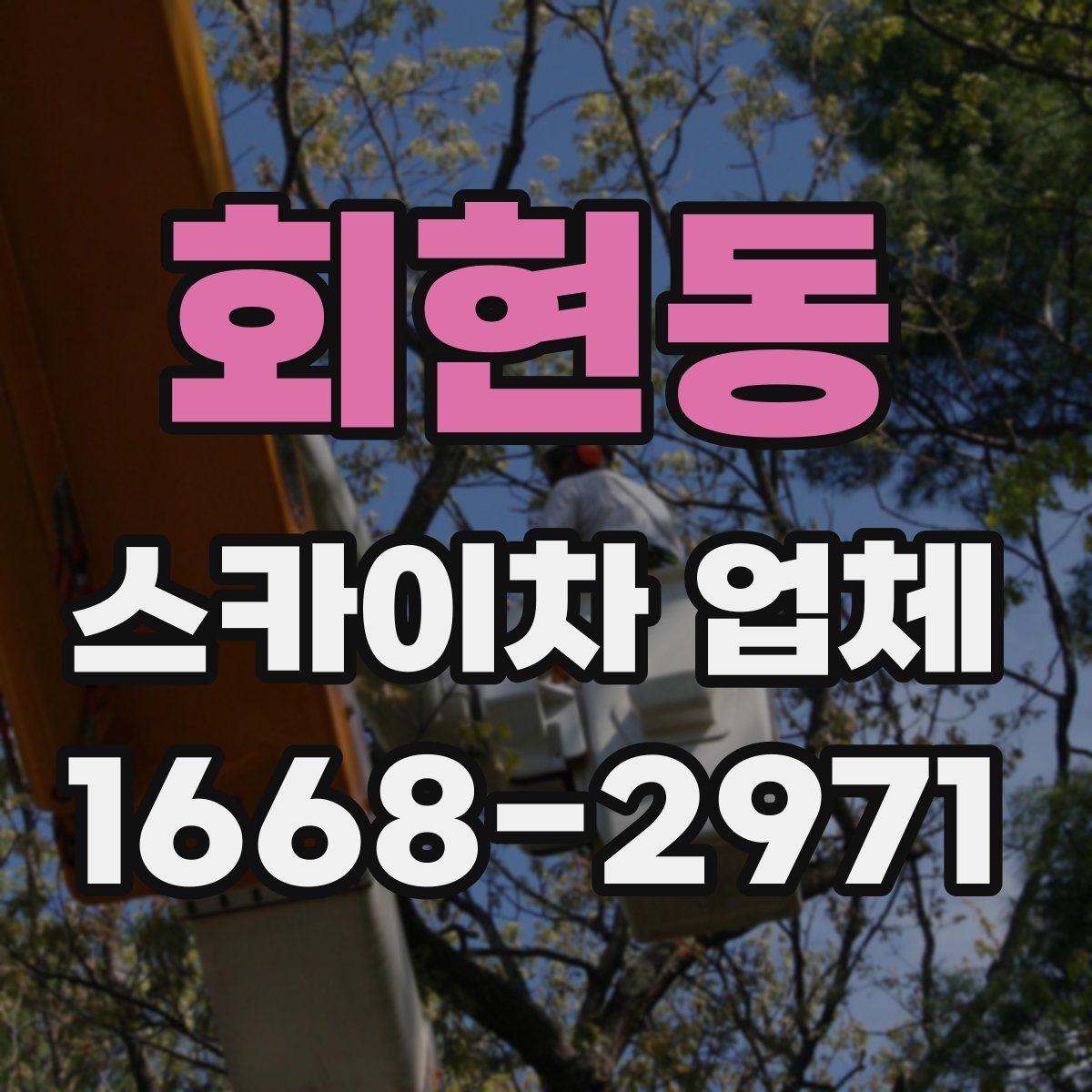 회현동 스카이차 업체