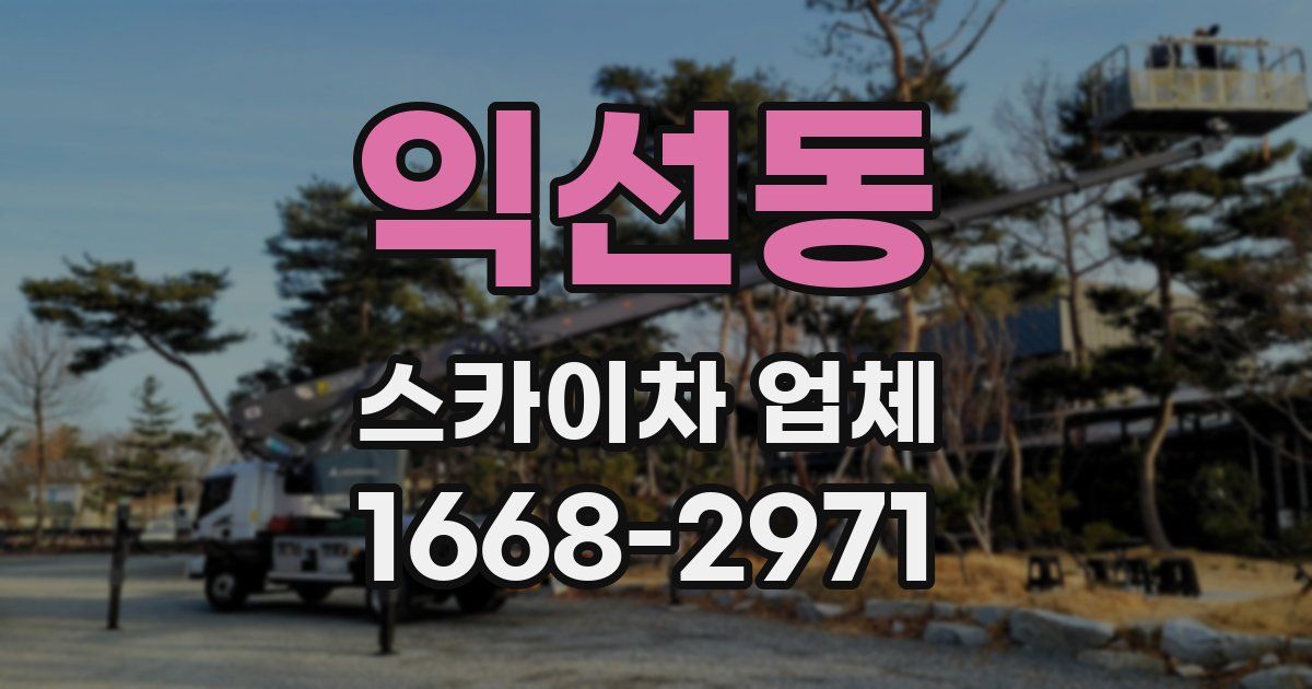 익선동 스카이차 업체