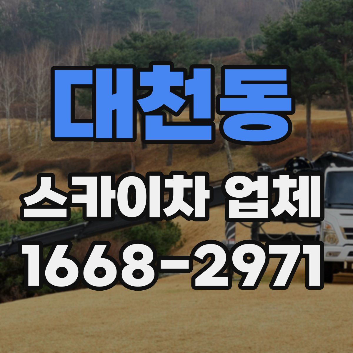 대천동 스카이차 업체