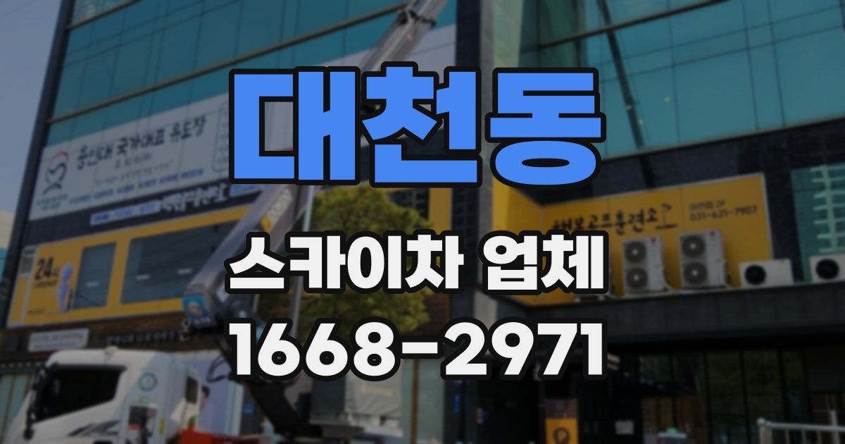 대천동 스카이차 업체