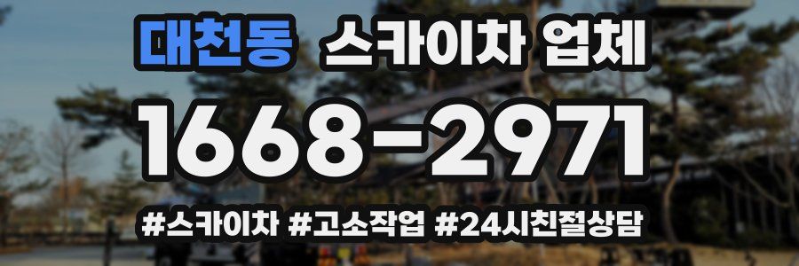 대천동 스카이차 업체