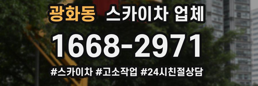 광화동 스카이차 업체