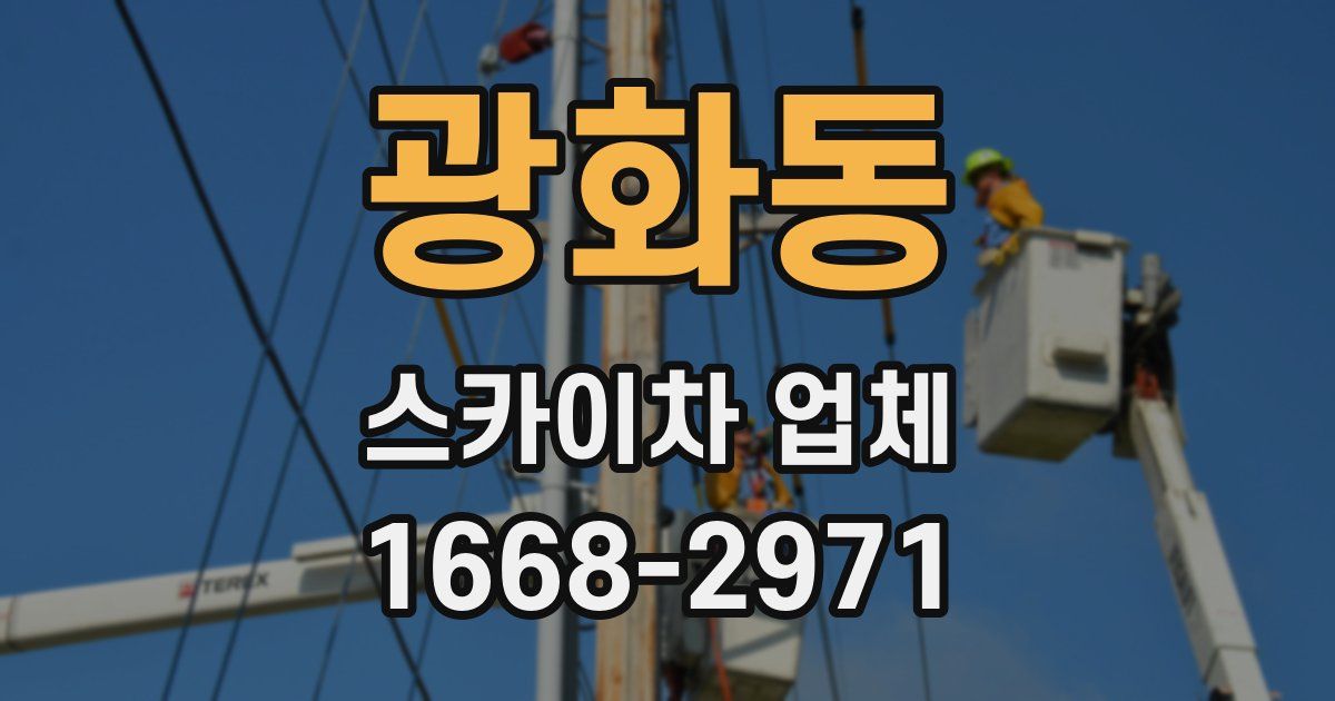 광화동 스카이차 업체