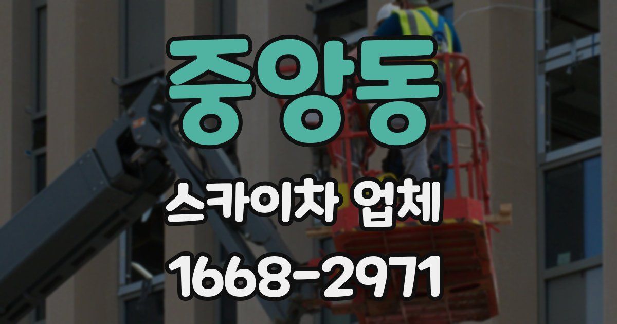 중앙동 스카이차 업체