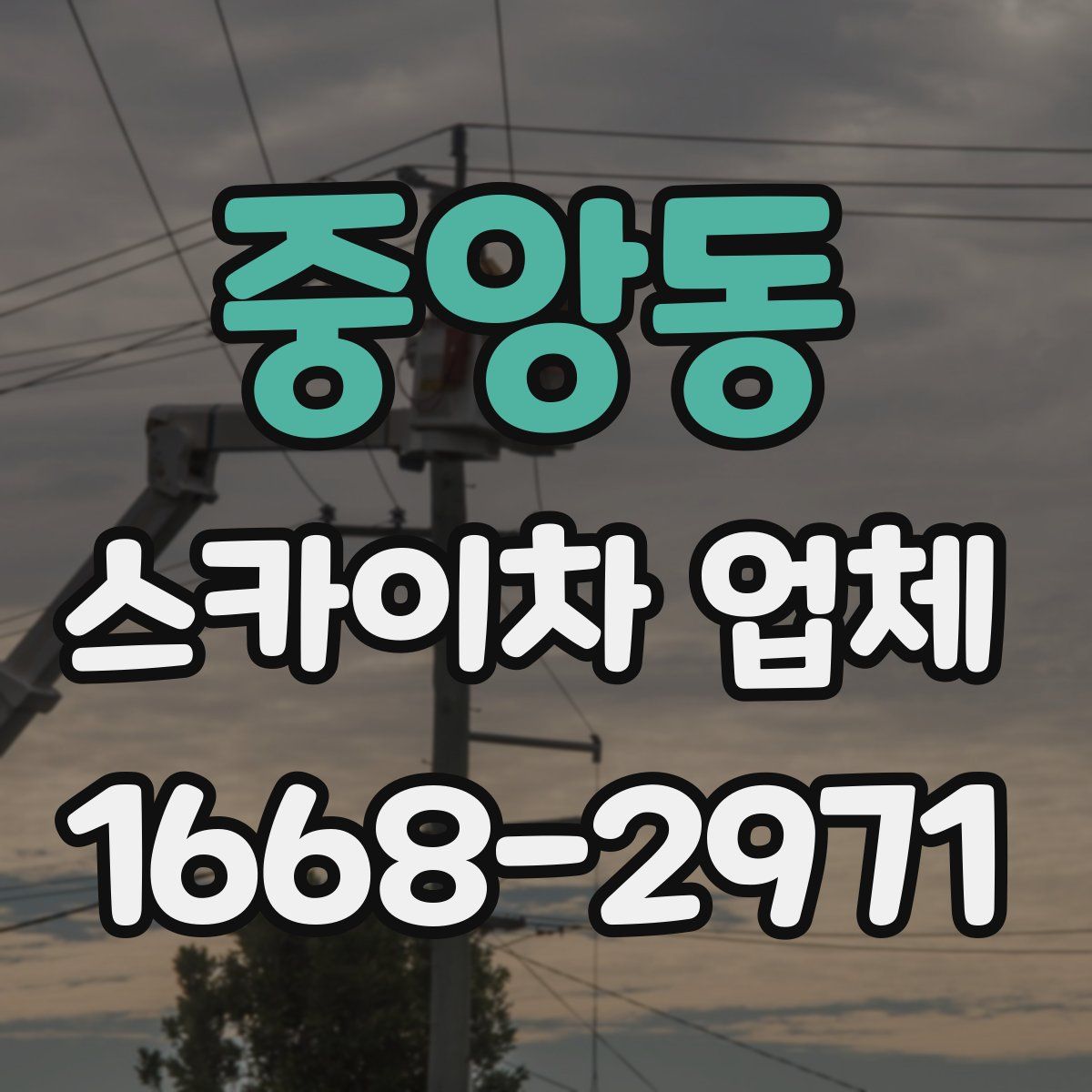 중앙동 스카이차 업체