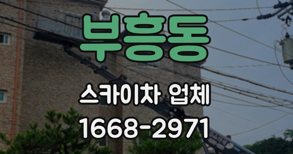 부흥동 스카이차 업체