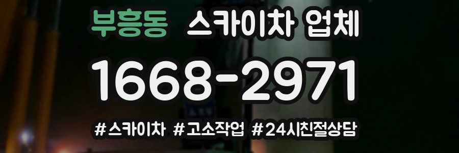 부흥동 스카이차 업체