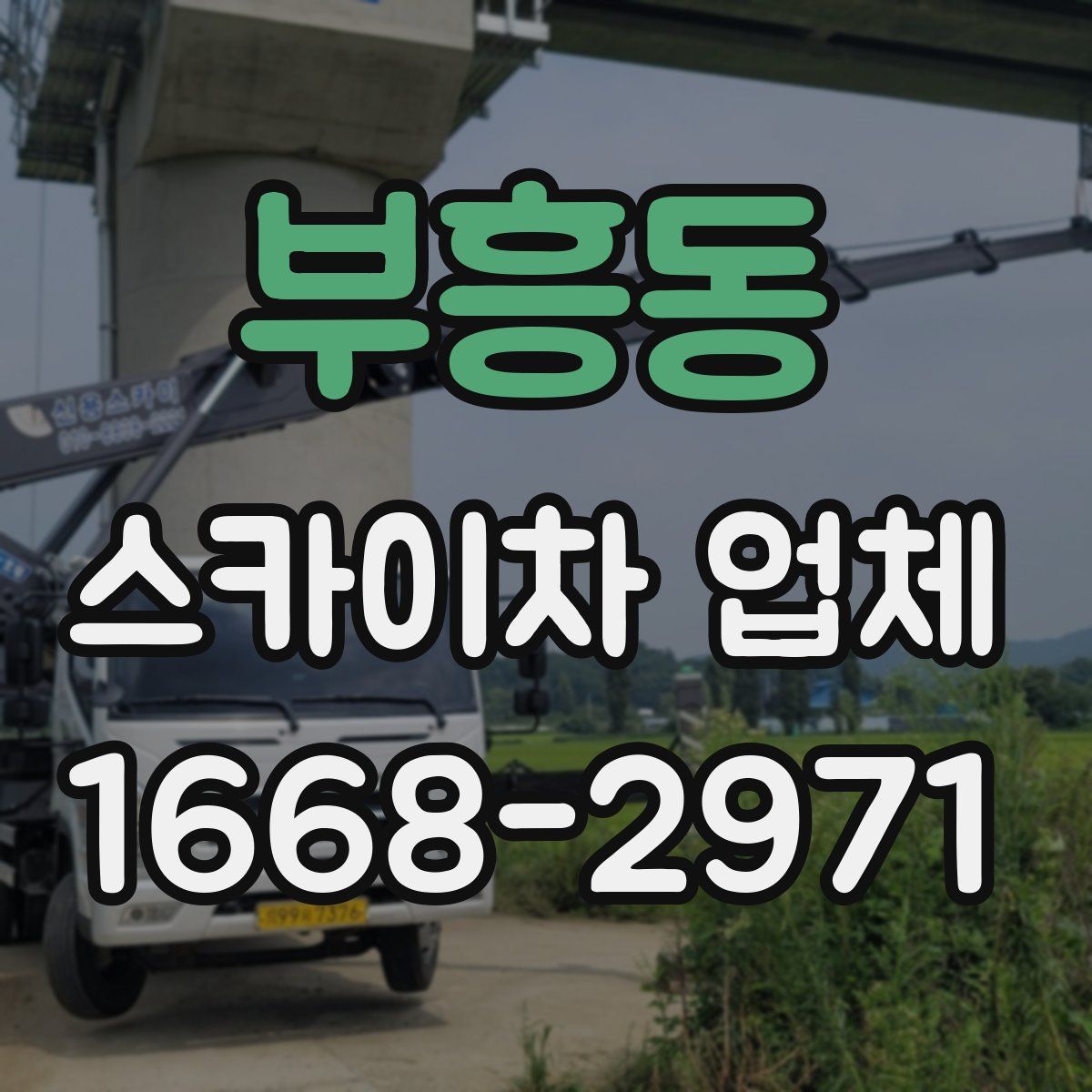 부흥동 스카이차 업체
