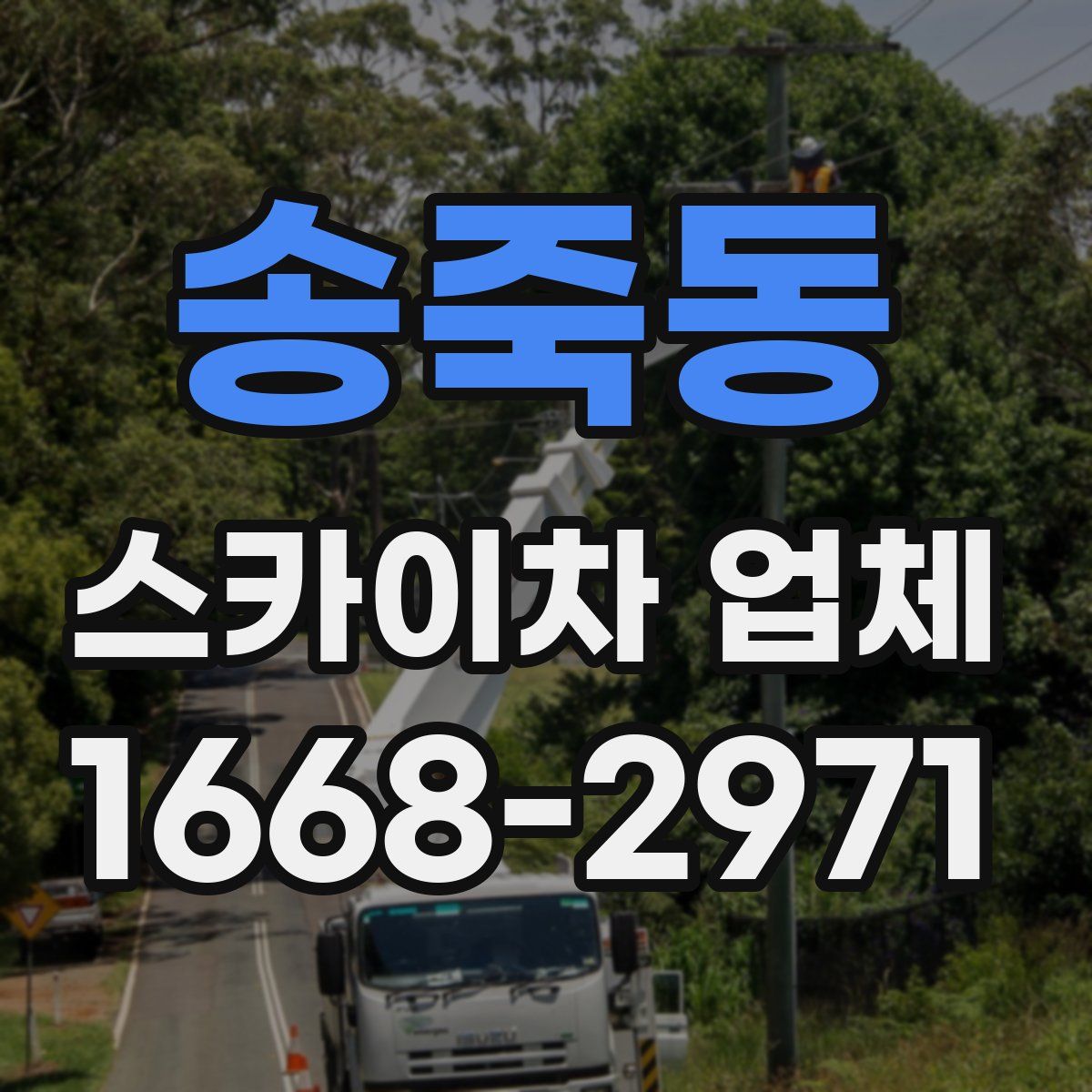 송죽동 스카이차 업체