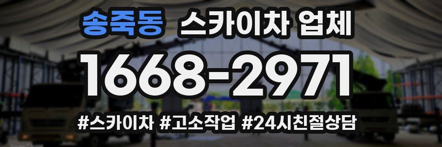 송죽동 스카이차 업체