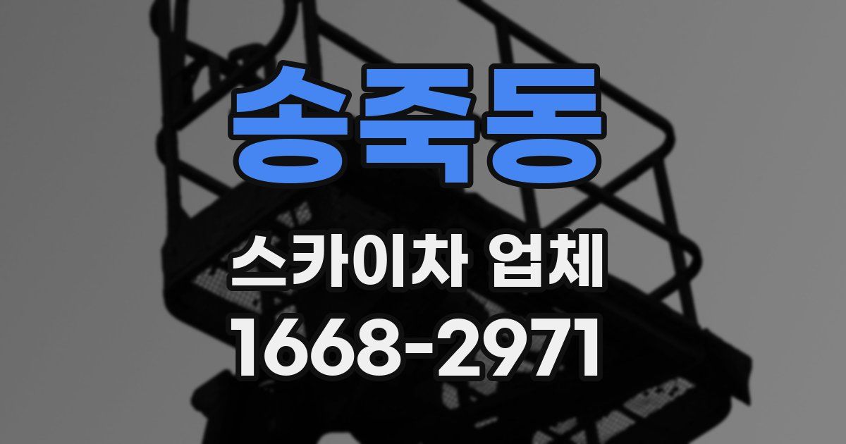 송죽동 스카이차 업체