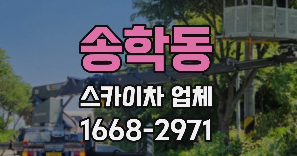 송학동 스카이차 업체